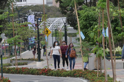 La obra mejora el entorno de la avenida y se enmarca en el concepto de mejoramiento de la movilidad, ya que se puede recorrer la zona bajo la sombra de 200 árboles nativos.