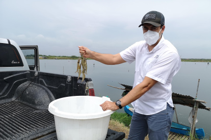 Ecuador vive este año una caída de los precios.