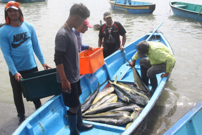 Ecuador. En el país, cerca de 120.000 personas dependen de esta actividad económica, según la FAO.