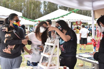 Las artesanas exhibieron sus productos el sábado y el domingo de 10:00 a 18:00. 

Agencia (ag-expreso ag-extra ag-quito)
