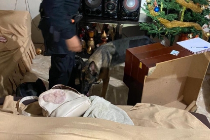 Operativo. La Policía ejecutó una acción policial que permitió el decomiso de sustancias sujetas a fiscalización en Durán.