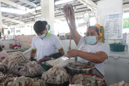 Recorrido en mercados de mariscos reconociendo los productos y diferenciandolos

Agencia (ag-extra)