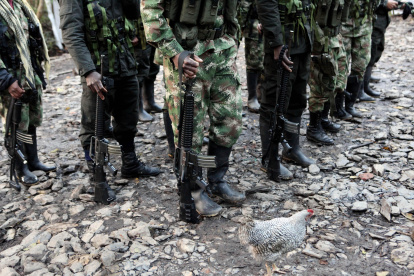 El mes pasado, más de 2.000 personas abandonaron el corregimiento de El Plateado por enfrentamientos entre grupos armados ilegales.