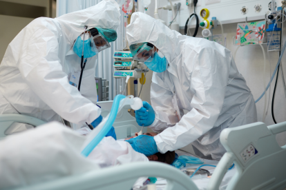 Las muertes se han detallado en el informe técnico del Ministerio de Salud.