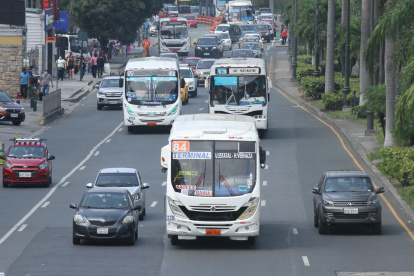 Transporte. Algunos de los buses urbanos que circulan en Guayaquil.