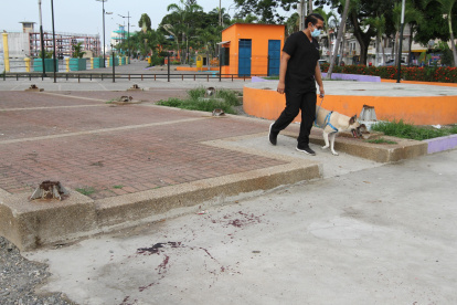 Indicios. Las manchas de sangre quedaron en la vereda del malecón.
