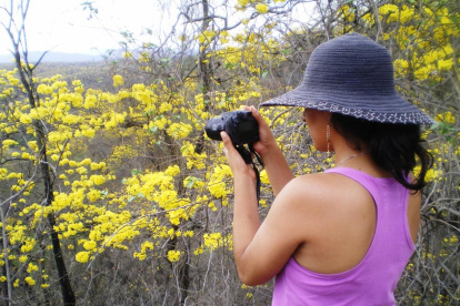 Denuncias. En lugares turísticos donde no haya una Fiscalía, se puede reportar delitos ante la Policía Nacional.
