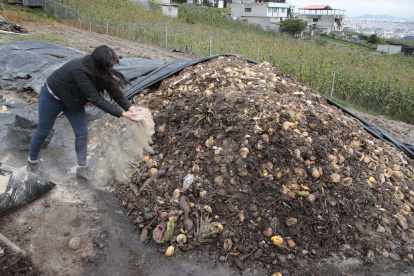 Montañas de basura se convierten en alimento para las plantas.