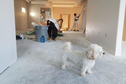 A tomar en cuenta. Los  problemas de comportamiento en perros y gatos son comunes. De hecho, ellos son la razón más común que conduce al abandono de mascotas.