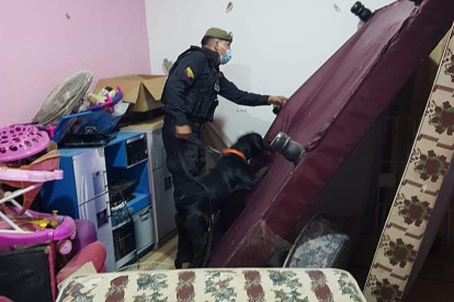 26 agentes fiscales participan de la investigación por presunta delincuencia organizada