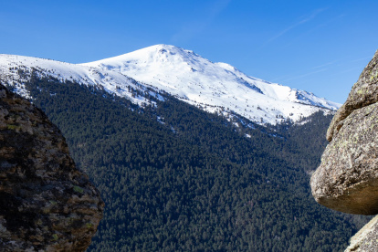 El Pinar de los Belgas es un bosque con una extensión de 2.016 hectáreas situado entre el Valle del Lozoya, entre el Parque Natural de las Lagunas de Peñalara, Rascafría y el Puerto de Cotos.