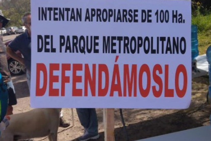 Las opiniones están dividas al respecto