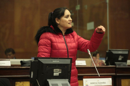 La legisladora de Pachakutik, Mireya Pazmiño, argumentó que la palabra del presidente Lasso ya no tiene credibilidad.