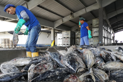 Labor. Dos personas que trabajan en el sector de la pesca de atún.