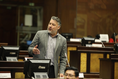 El legislador señala que si la directiva del partido lo cree un "militante inútil", se separará de la bancada.