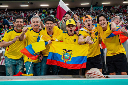 Ecuatorianos en Qatar alentando a Ecuador.