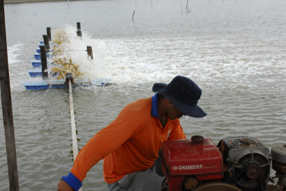 Además de las bombas, el diésel es usado en sistemas de aireación en piscinas camaroneras.