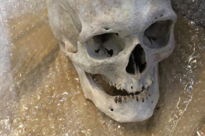 Fotografía sin fecha, cedida por La Dirección General de Aduanas de Argentina, que muestra un cráneo humano dentro de una caja de cartón. Inspectores de la Dirección General de Aduanas de Argentina