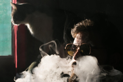 Efectos. Otro aspecto que puede afectar a los animales relacionados con el tabaco y más allá del humo es la intoxicación por nicotina.