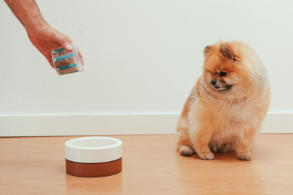 Atención. Ocurre como con los bebés. No hay opción mejor que la otra, pero es importante que todos los días cene a la misma hora.