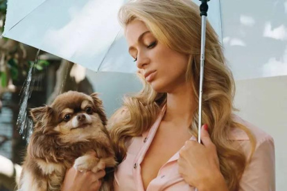 La mascota llevaba un lujoso estilo de vida, con trajes de diseñador y collares de diamantes.