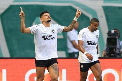 Tiquinho Soares anotó el único tanto de la victoria del Botafogo en su victoria ante Palmeiras.