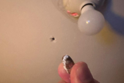 Evidencia: La bala ingresó a la vivienda por el techo y cayó en un dormitorio ubicado en la planta alta.