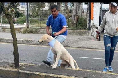 Acto. Odín fue localizado el mismo día que su dueña, Luz, perdió la vida.