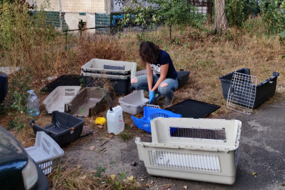 Petia Petrova, voluntaria búlgara que participa en las misiones de evacuación en Avdivka y colabora en el rescate de animales con la organización UAnimals