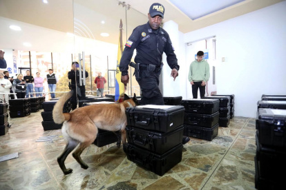 Canes revisaron los kits técnicos electorales previo a su envío al exterior.