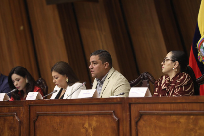 Fiscalización. Pamela Aguirre, legisladora correísta, permitió la comparecencia del prófugo Ronny Aleaga