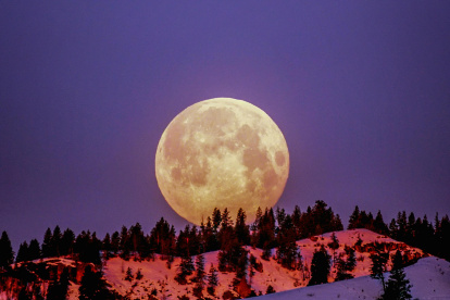 Referencial. Luna de Flores.