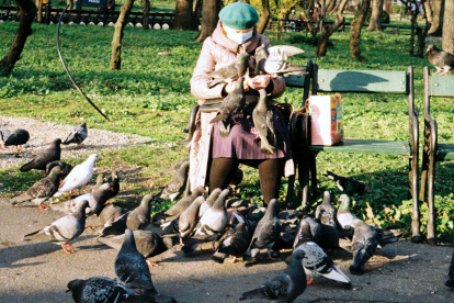 Hong Kong. Una persona alimenta a un grupo de palomas en un parque en la antigua colonia británica.