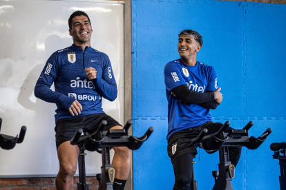 El experimentado delantero Luis Suárez (i) en los trabajos de gimnasio de la selección uruguaya junto a Facundo Torres