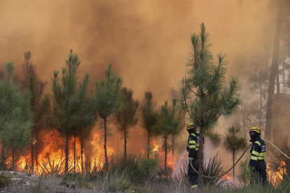 Varios bomberos trabajan en las labores de extinción de los incendios registrados en Portugal, este miércoles en Casal de Mundinho, ubicado en la comarca lusa de Mangualde (región Centro).