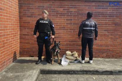 La droga fue encontrada en bolsas de paja toquilla y en un cartón de televisor.