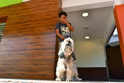 Los perros se ven particularmente afectados por los fuertes ruidos.