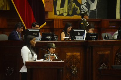 Diana Salazar, fiscal general, reapareció en la Asamblea y en redes dijeron que "viene recargada".