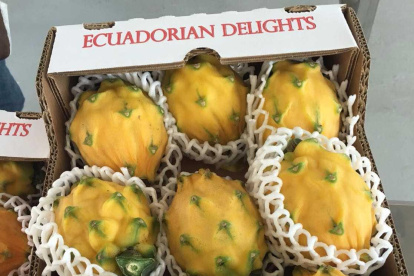 Ecuador publicita en feria sus frutas como la pitahaya.