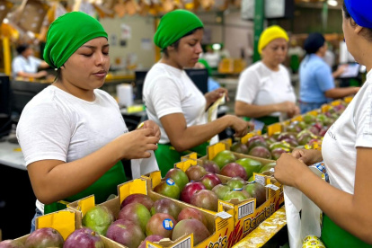 EE.UU. elevó del 10 al 15 % el arancel recíproco para los productos de Ecuador que importe.