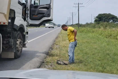 Tres sujetos manipulan a la tortuga y procedieron a tirarla en la parte posterior de la volqueta.