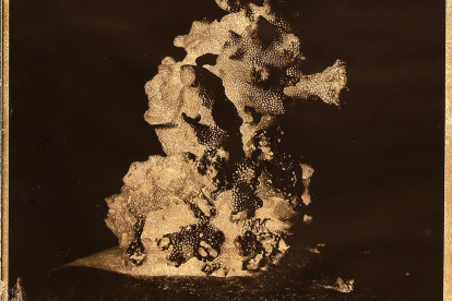 La exposición abrirá sus puertas el próximo miércoles 22 de abril a las 17:00.