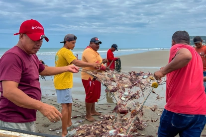 Trabajadores al pie del mar muestran la red dañada y llena de las jaibas.