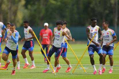 La Selección de Colombia enfrenta a Ghana en Kansas City.