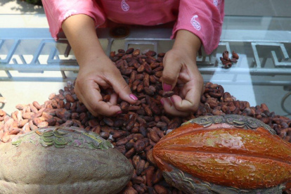 Entre los productos agrícolas ofertados en el catálogo "Del Productor a Tus Manos" está el cacao.