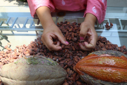 Entre los productos agrícolas ofertados en el catálogo