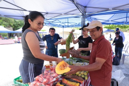 Comercialización. Oferta de frutas, verduras y alimentos procesados se exhiben ferias agroecológicas.