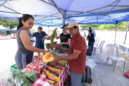 Comercialización. Oferta de frutas, verduras y alimentos procesados se exhiben ferias agroecológicas.