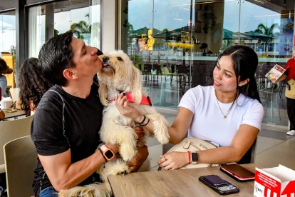 Cafeterías, restaurantes y comercios amplían sus espacios para recibir a las mascotas.
