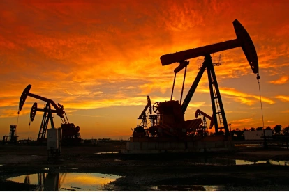 La OPEP estimula a la producción del petróleo.